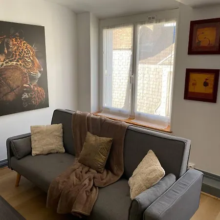 Le Piton - Appartements Sancerre Esterno foto