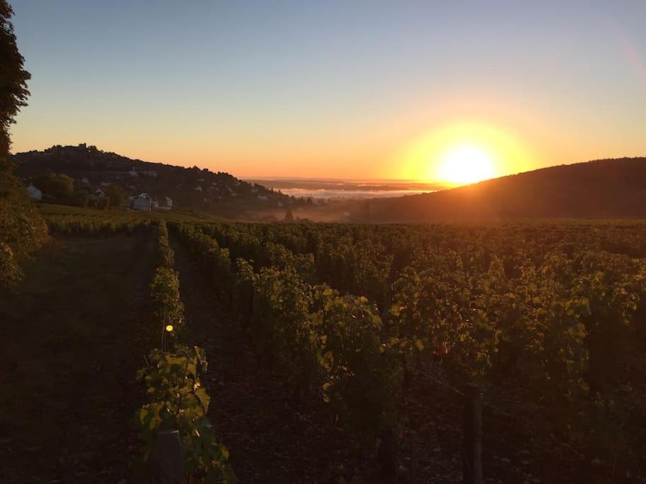 Le Piton - * Sancerre
